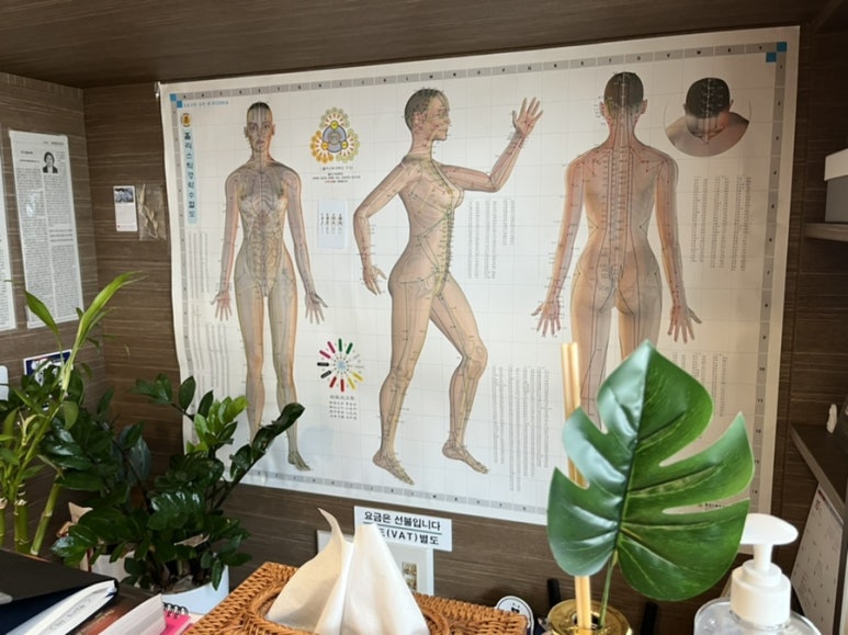 금손자연치유 이미지