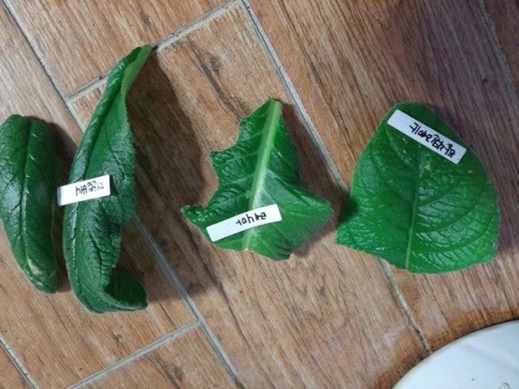 그린팩토리 이미지