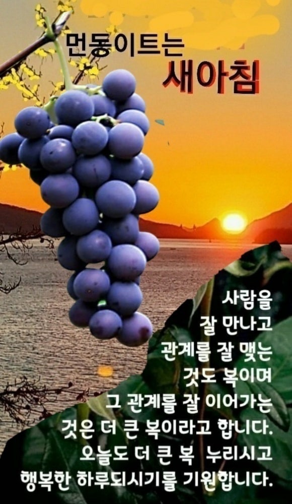 보령시니어클럽 이미지