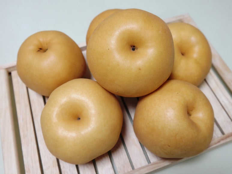 강남농원 이미지