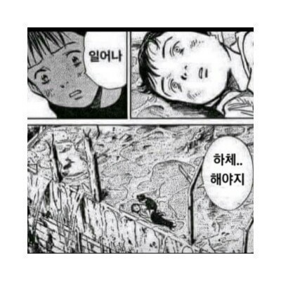 리온피티 이미지