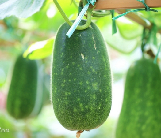 수은중국식품 이미지