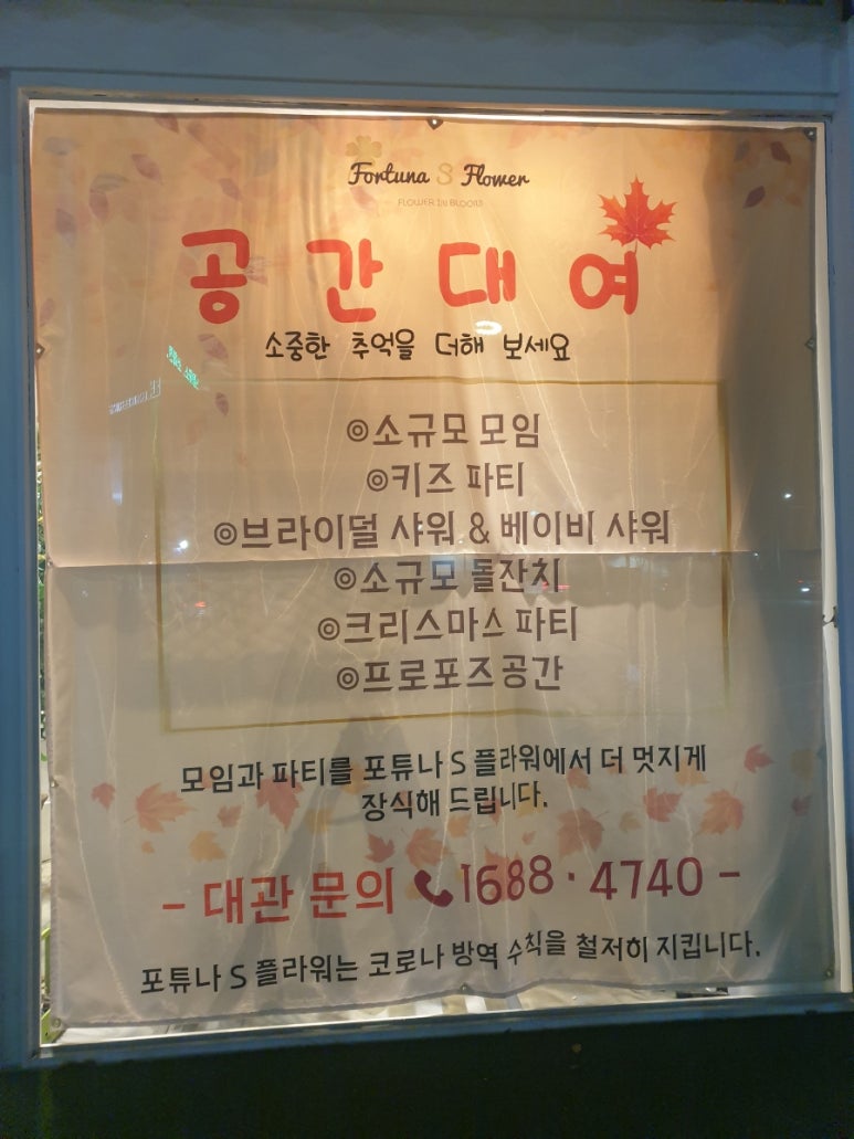 포튜나에스플라워 이미지