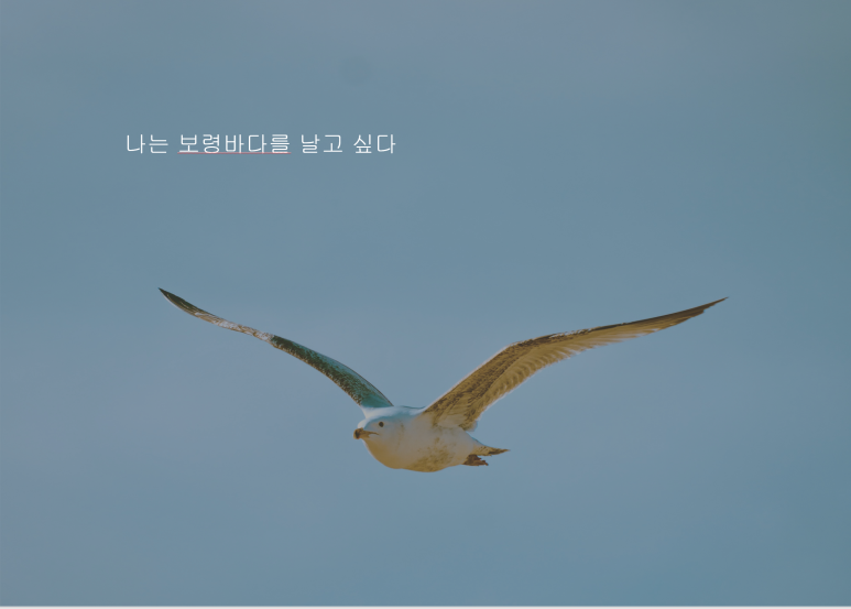 희망바다협동조합 이미지