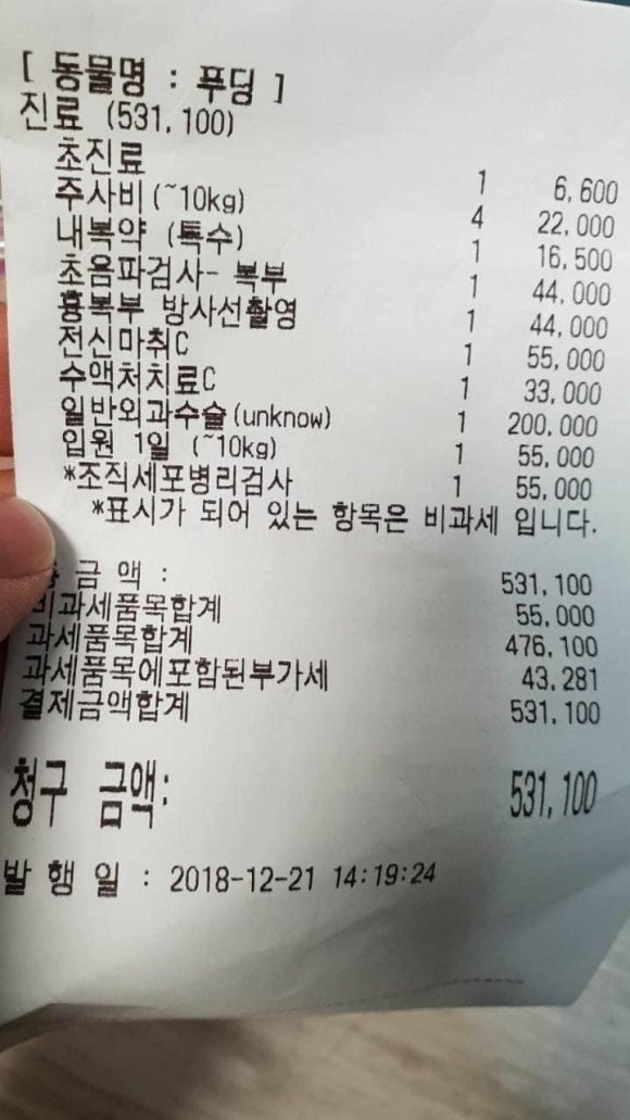 셀레브르 이미지