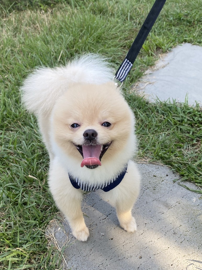이디야봉명 이미지