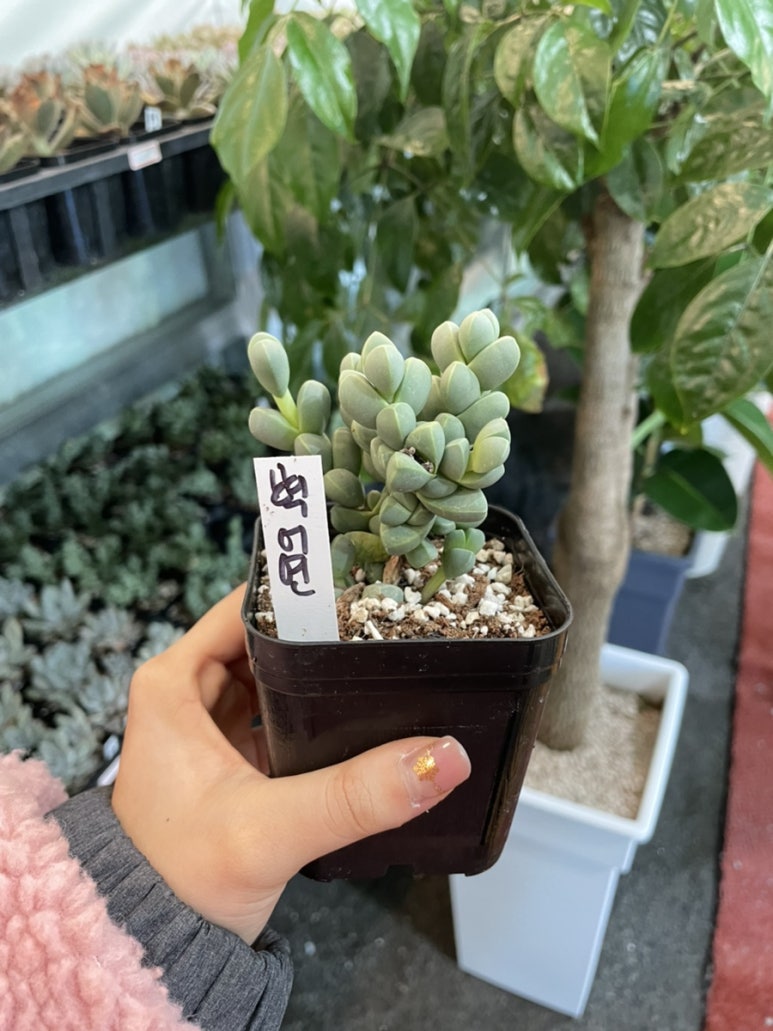 한일농원 이미지
