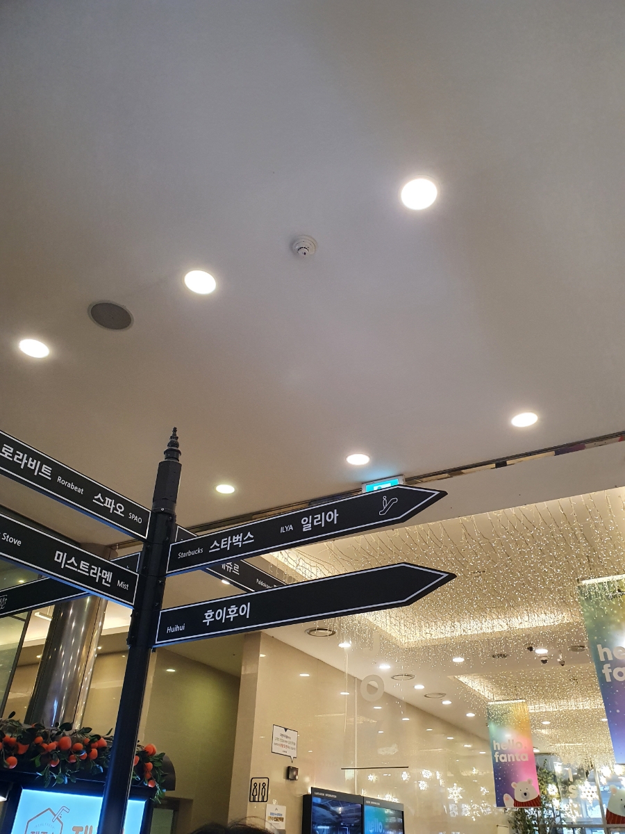 일리아플라워 이미지
