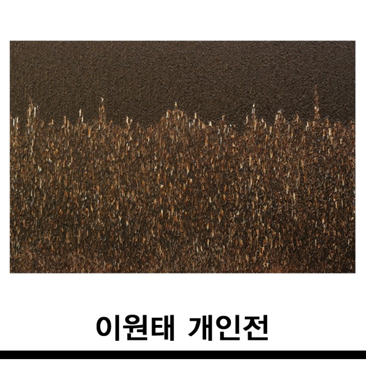 갤러리H 이미지