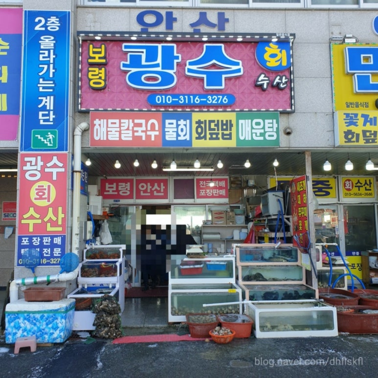 광수 새조개 이미지