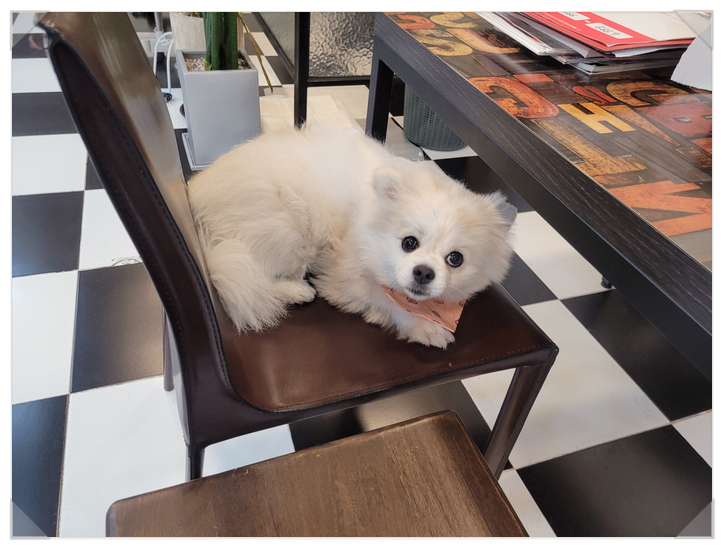 젠츠바버샵 이미지