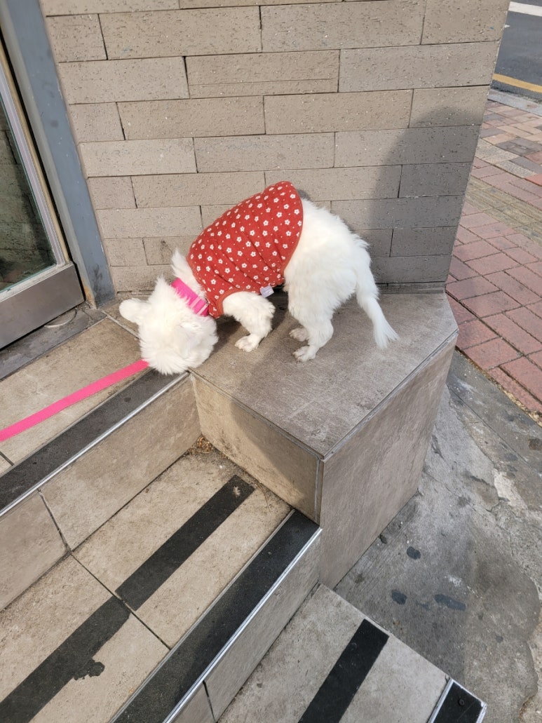 박영진치과의원 이미지