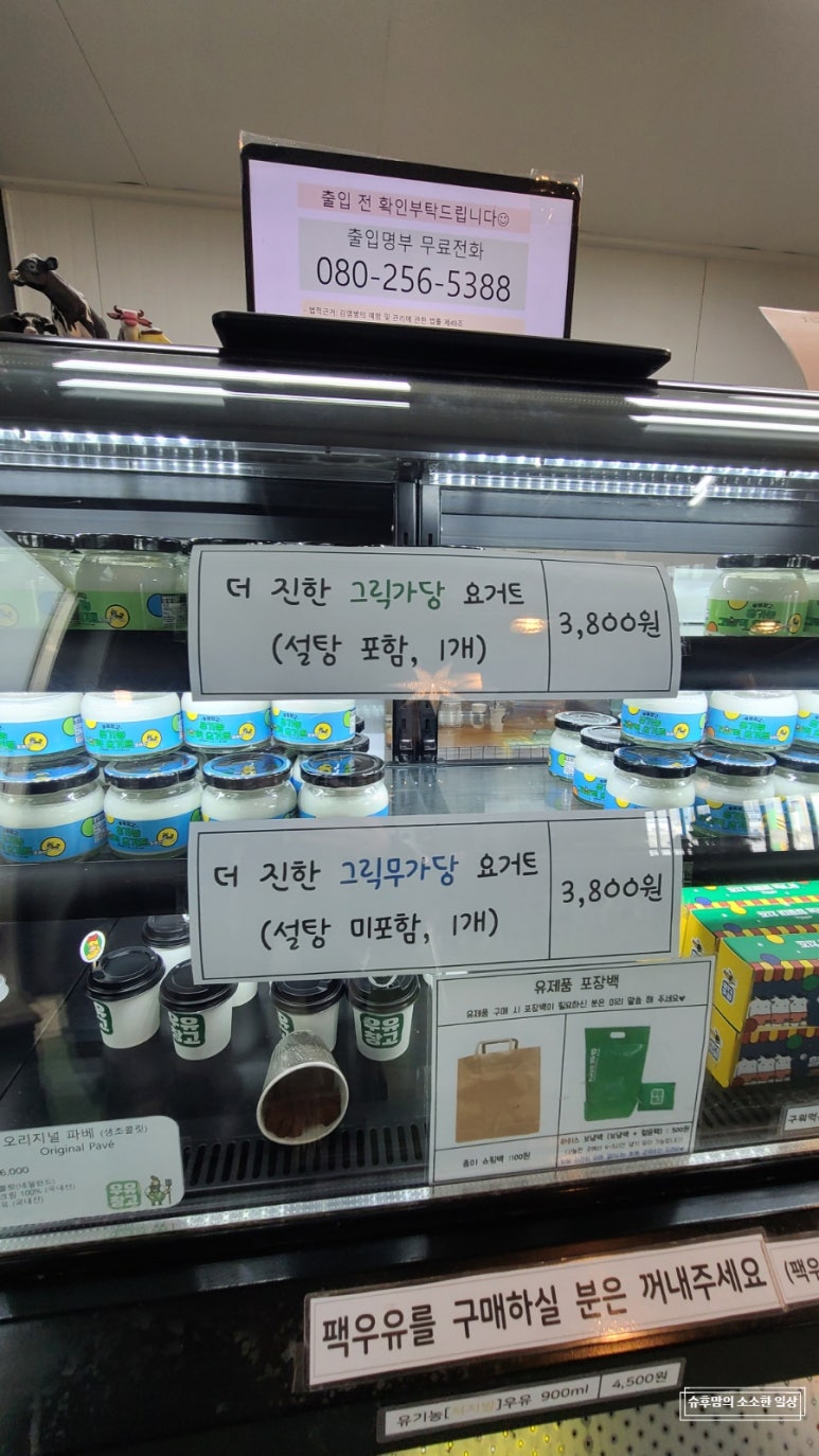 요거당요거트아이스크림 이미지