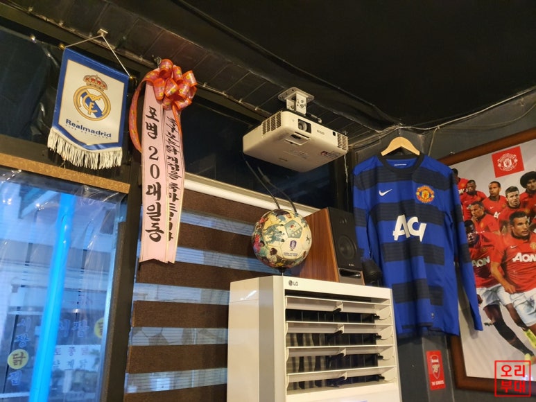 축구보는닭 이미지