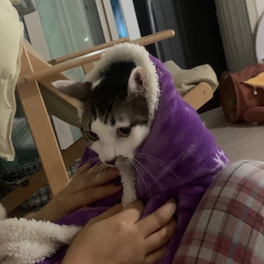 꼰대불닭발 이미지