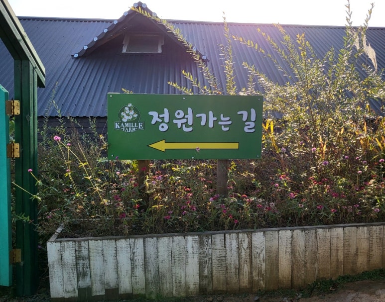 송송팜 이미지