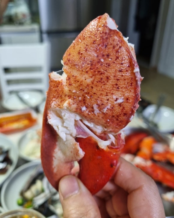 담은하다 이미지