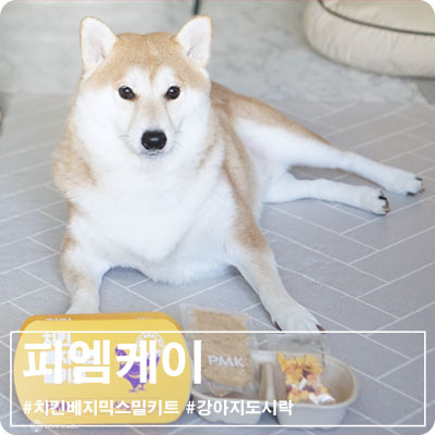 피엠케이 이미지