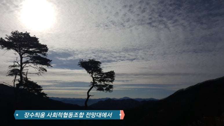 협동조합틔움 이미지