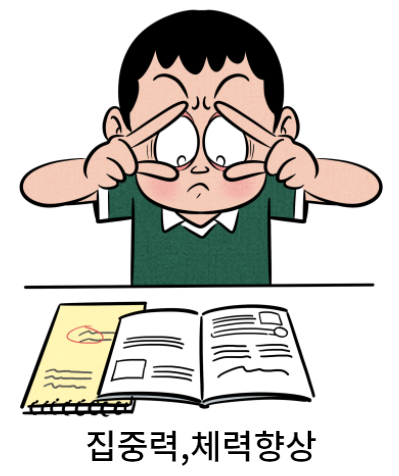 본스트레칭 이미지