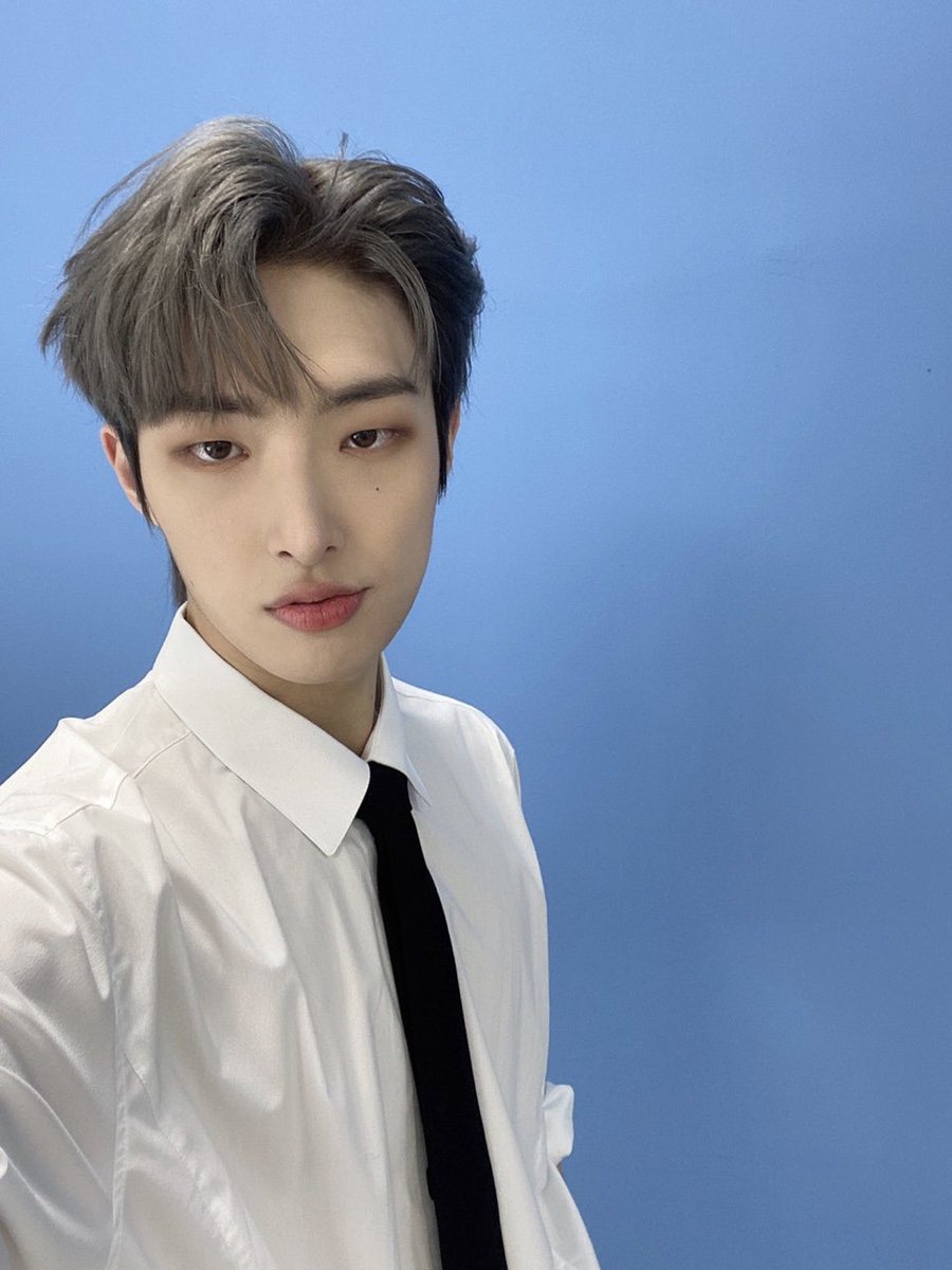 취향 이미지