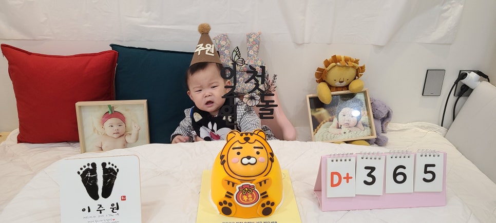 플레이가드 이미지