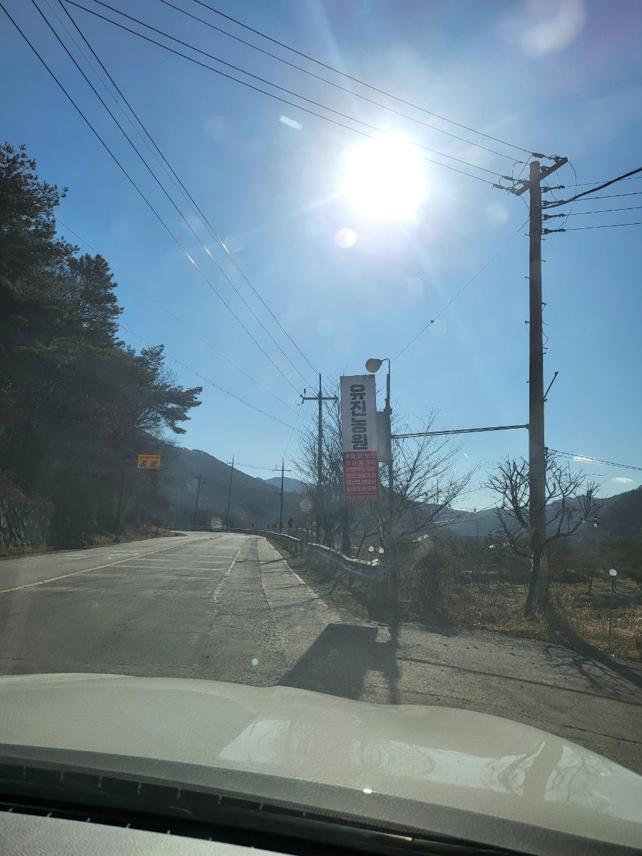 유진농원 이미지