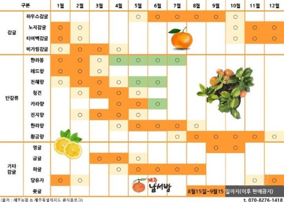 녹차마루 이미지