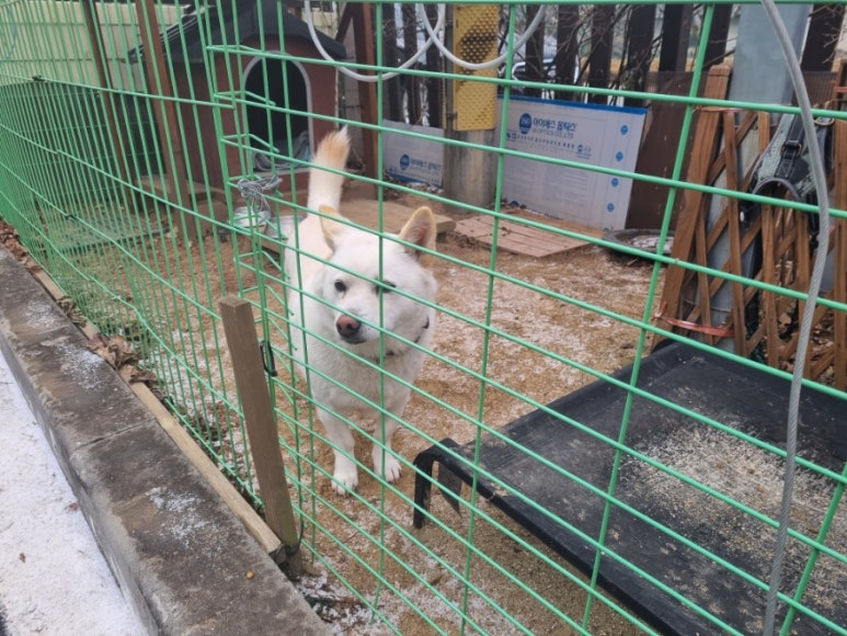 숲앤휴 이미지