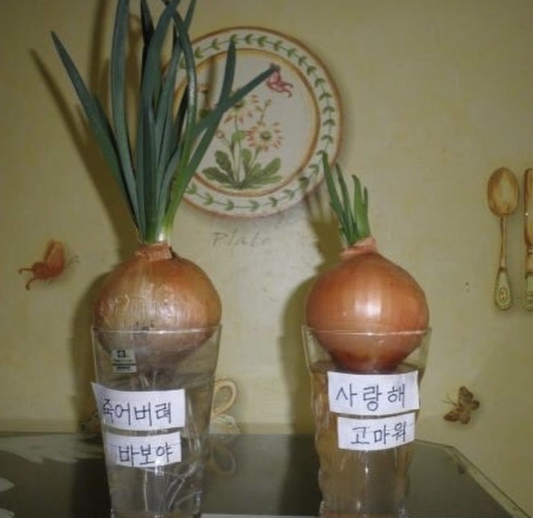 포토이즘박스 이미지