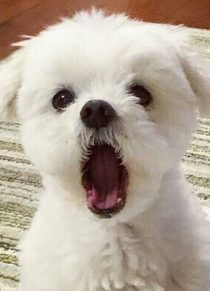 니서푸드 이미지