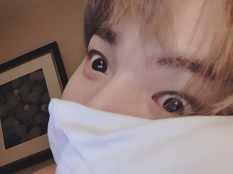 더 드리밍 이미지