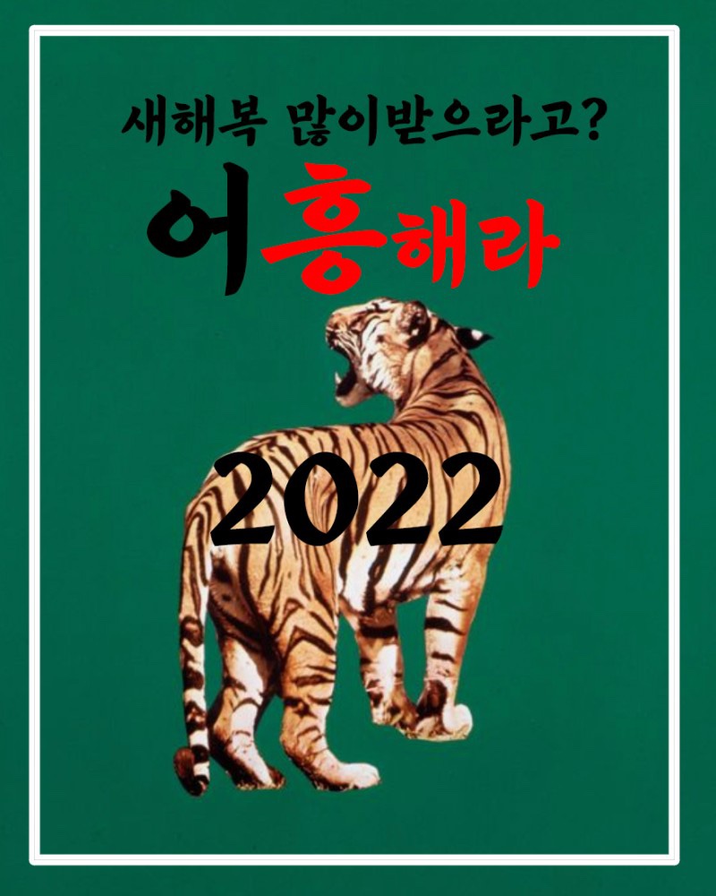 새해반점 이미지