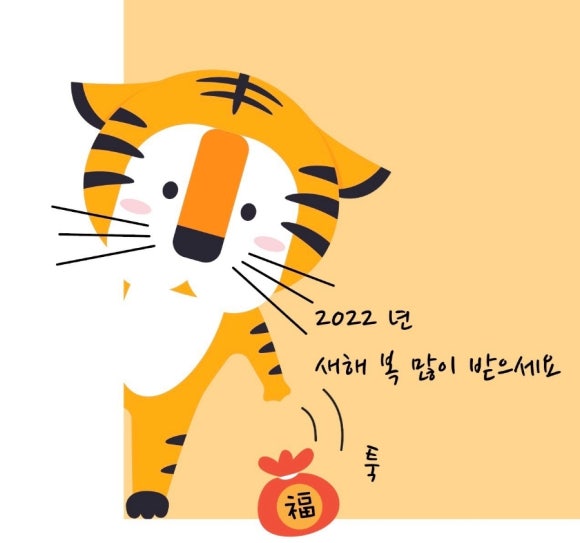 로하핏스튜디오 이미지