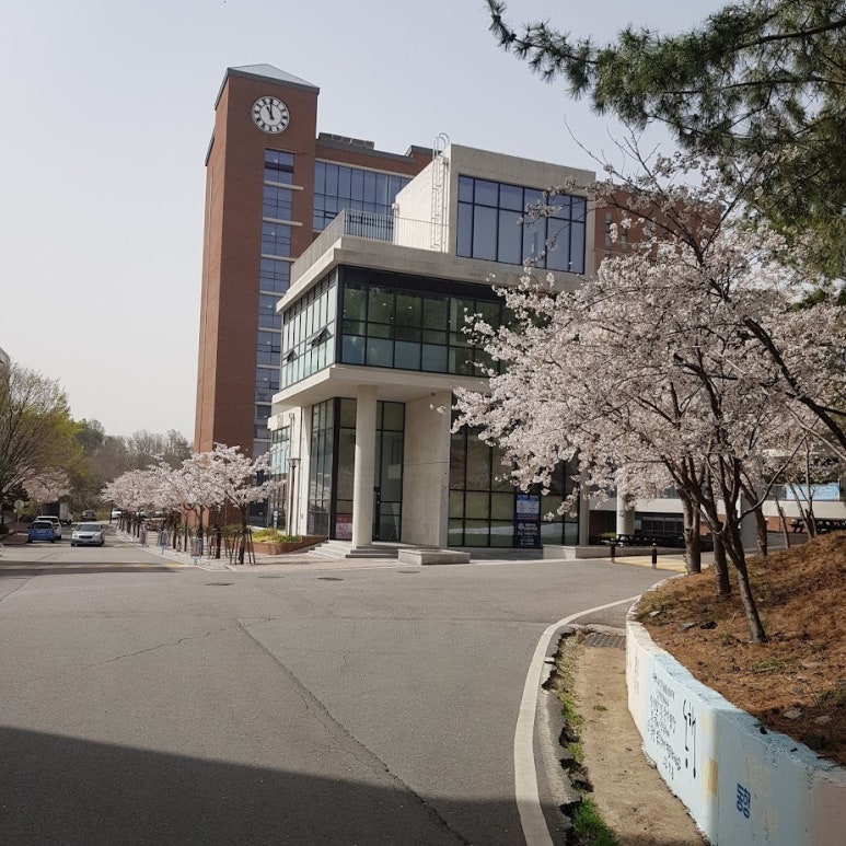 보아스식당 이미지