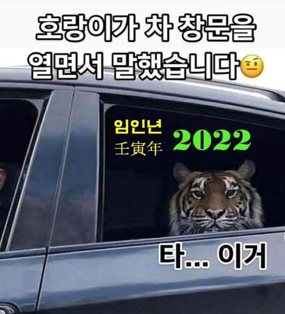 장가네손만두 이미지