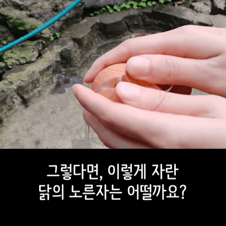 청정제주농산 이미지