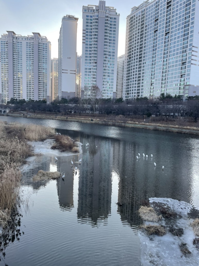 마약낙곱새 동탄점 이미지