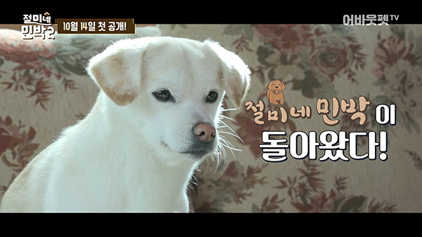 태양민박 이미지