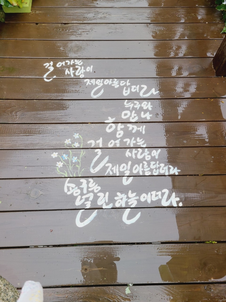 수선화사주카페 이미지
