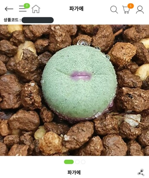 웜하티드 이미지
