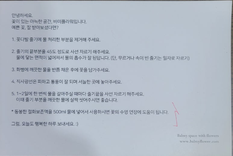 바미플라워 이미지