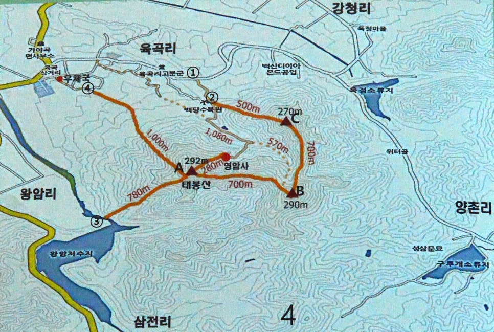 초막산림 이미지