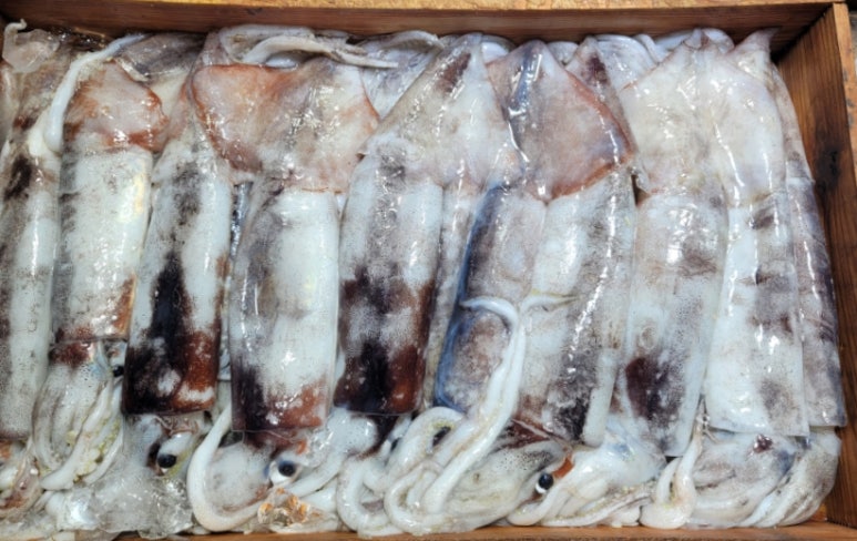 청량수산 이미지