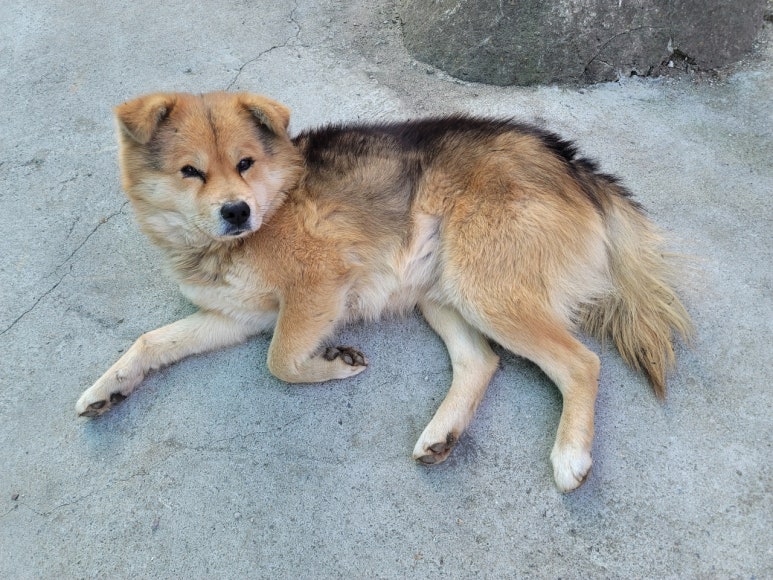 은성정육식당 이미지
