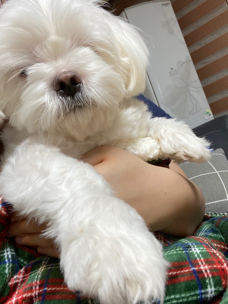 금실미용실 이미지