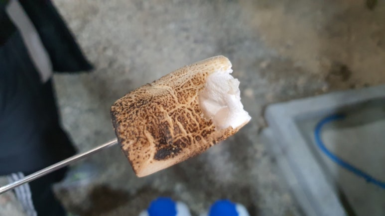 바비큐보스 이미지