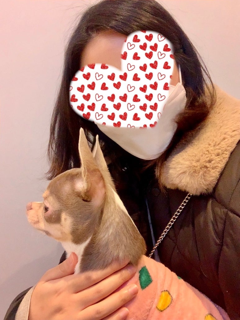 벨라제이 속눈썹 이미지