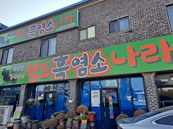 채민경월드흑염소나라 이미지