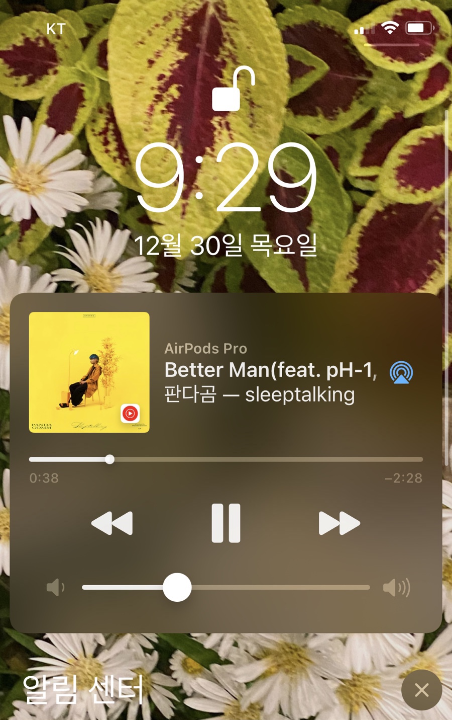 금노래짱 이미지